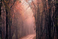 阿根廷传奇出战成功，南美杯赛势如破竹