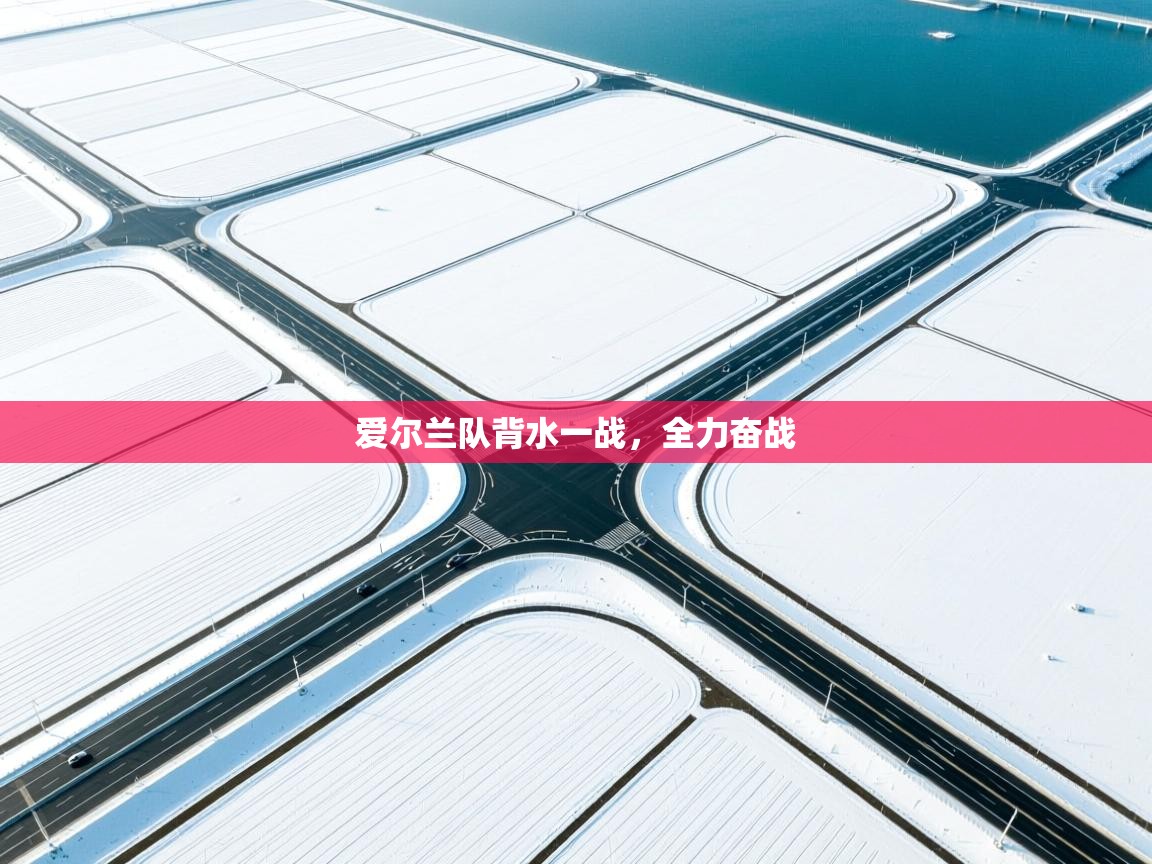 爱尔兰队背水一战，全力奋战