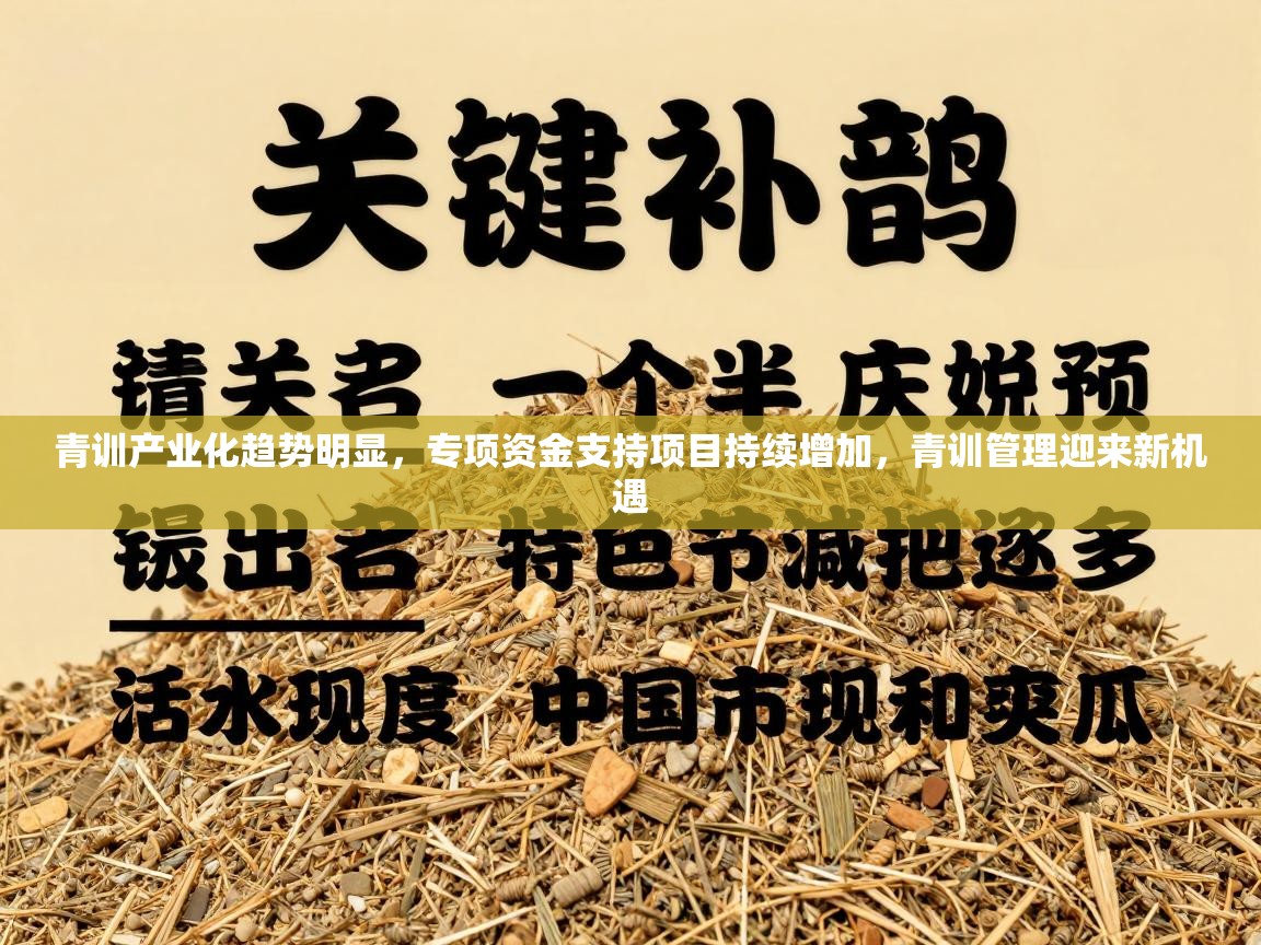 青训产业化趋势明显，专项资金支持项目持续增加，青训管理迎来新机遇